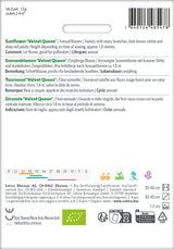Sativa Sonnenblumen Velvet Queen