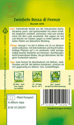 Quedlinburger Lauchzwiebel Rossa di Firenze
