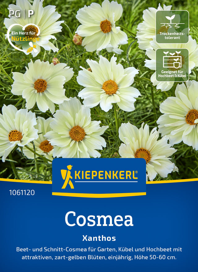 Kiepenkerl Schmuckkörbchen Xanthos