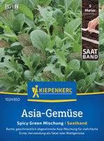Kiepenkerl Asia-Salat Spicy Green Mischung Saatband