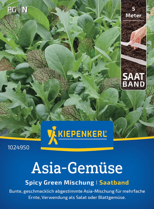 Kiepenkerl Asia-Salat Spicy Green Mischung Saatband