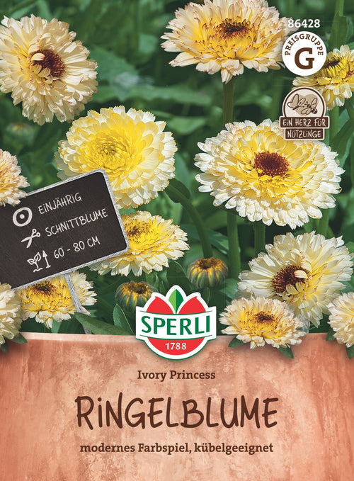 SPERLI Ringelblume Ivory Princess