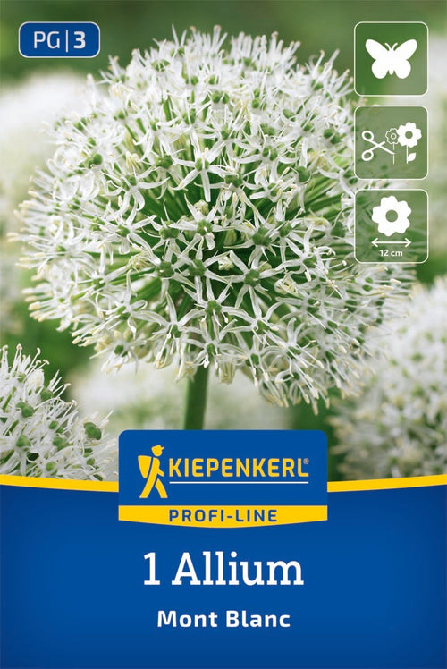 Profi-Line Zierlauch Mont Blanc