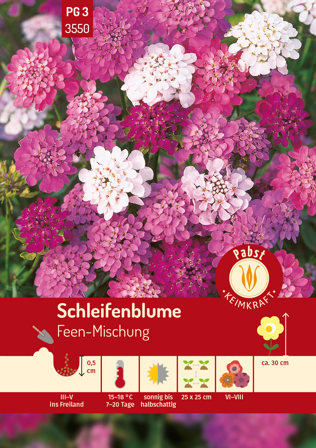 Pabst Keimkraft Schleifenblumen Feen Mischung