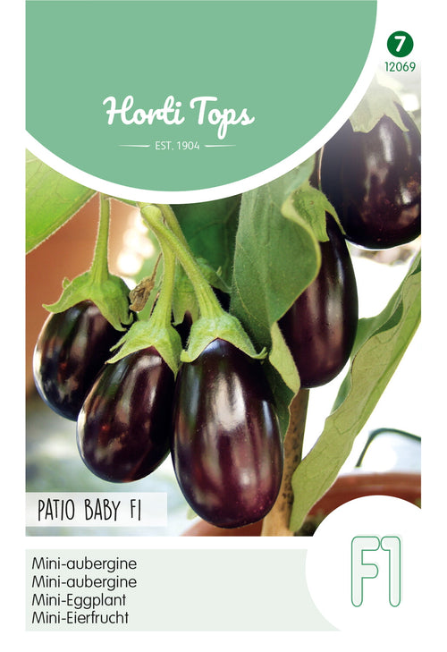 Horti Tops Mini-Aubergine Ophelia