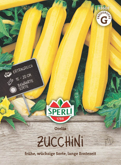 SPERLI Zucchini Orelia