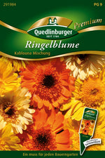 Quedlinburger Ringelblume Kablouna Mischung