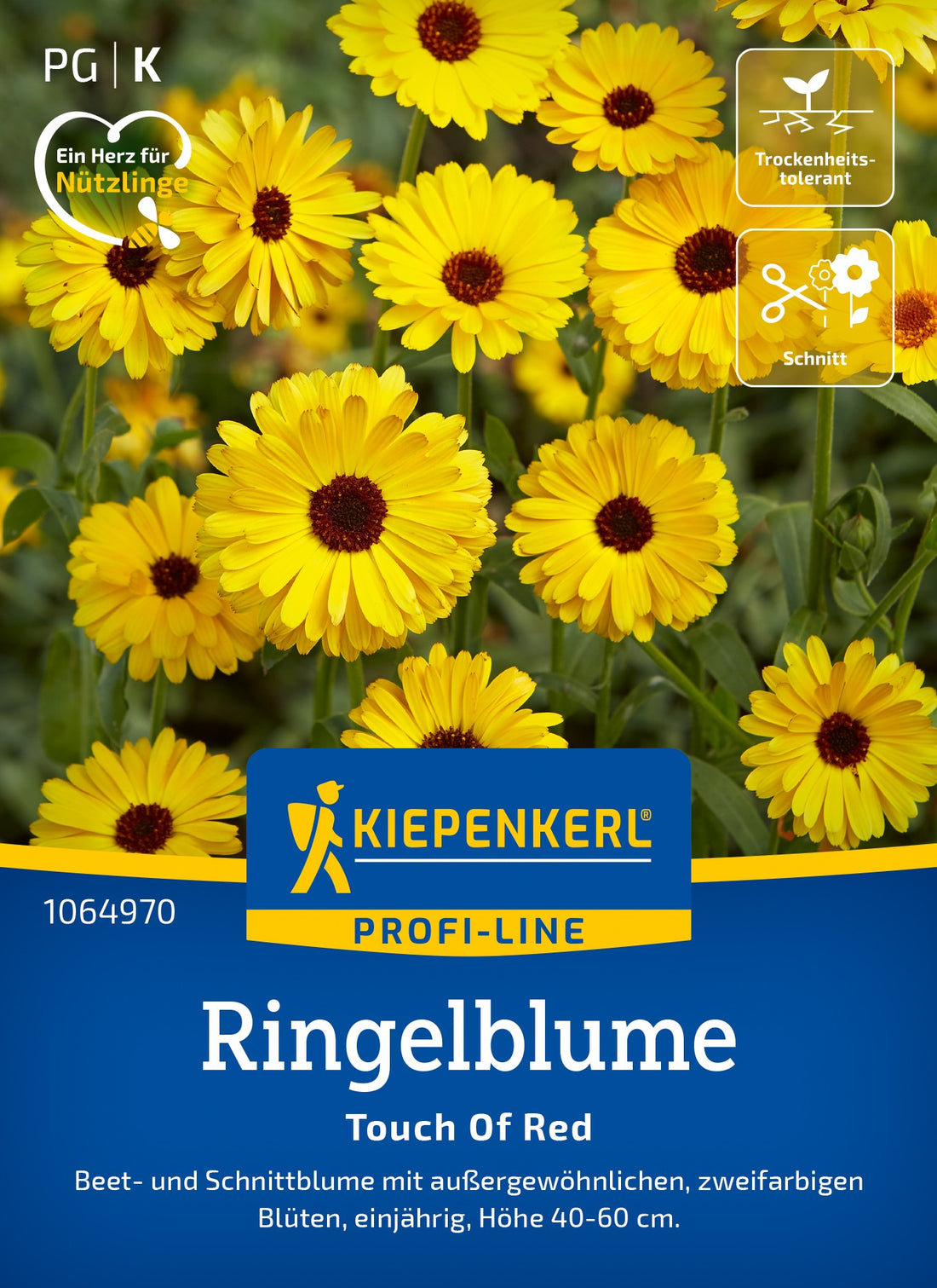 Kiepenkerl Ringelblumen Touch Of Red