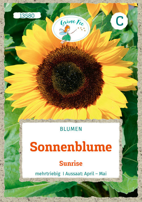 Grüne Fee Sonnenblumen Sunrise