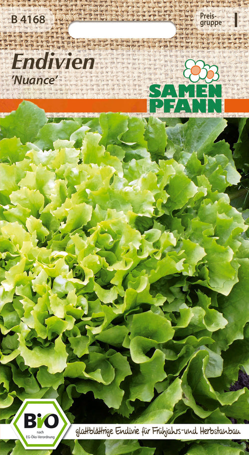 Samen Pfann BIO Endivien Nuance