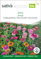 Sativa Zinnie