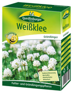 Quedlinburger Gründüngung Weißklee