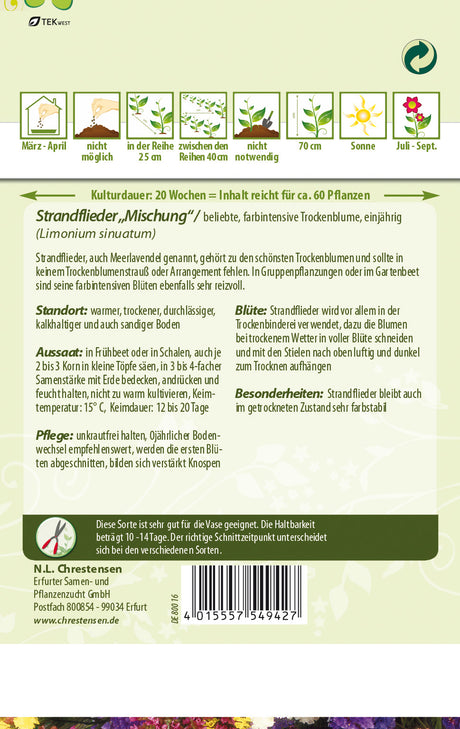 N.L. Chrestensen Strandflieder Mischung