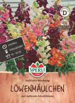 SPERLI Löwenmäulchen Halbhohe Mischung