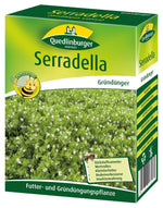 Quedlinburger Gründüngung Serradella