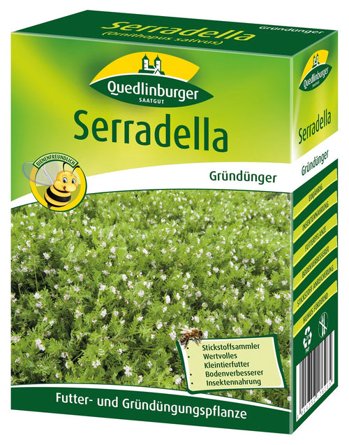 Quedlinburger Gründüngung Serradella