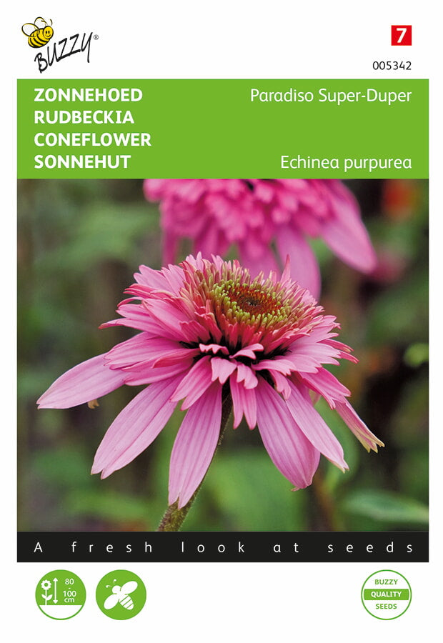 Buzzy Seeds Sonnehut Paradiso Super-Duper