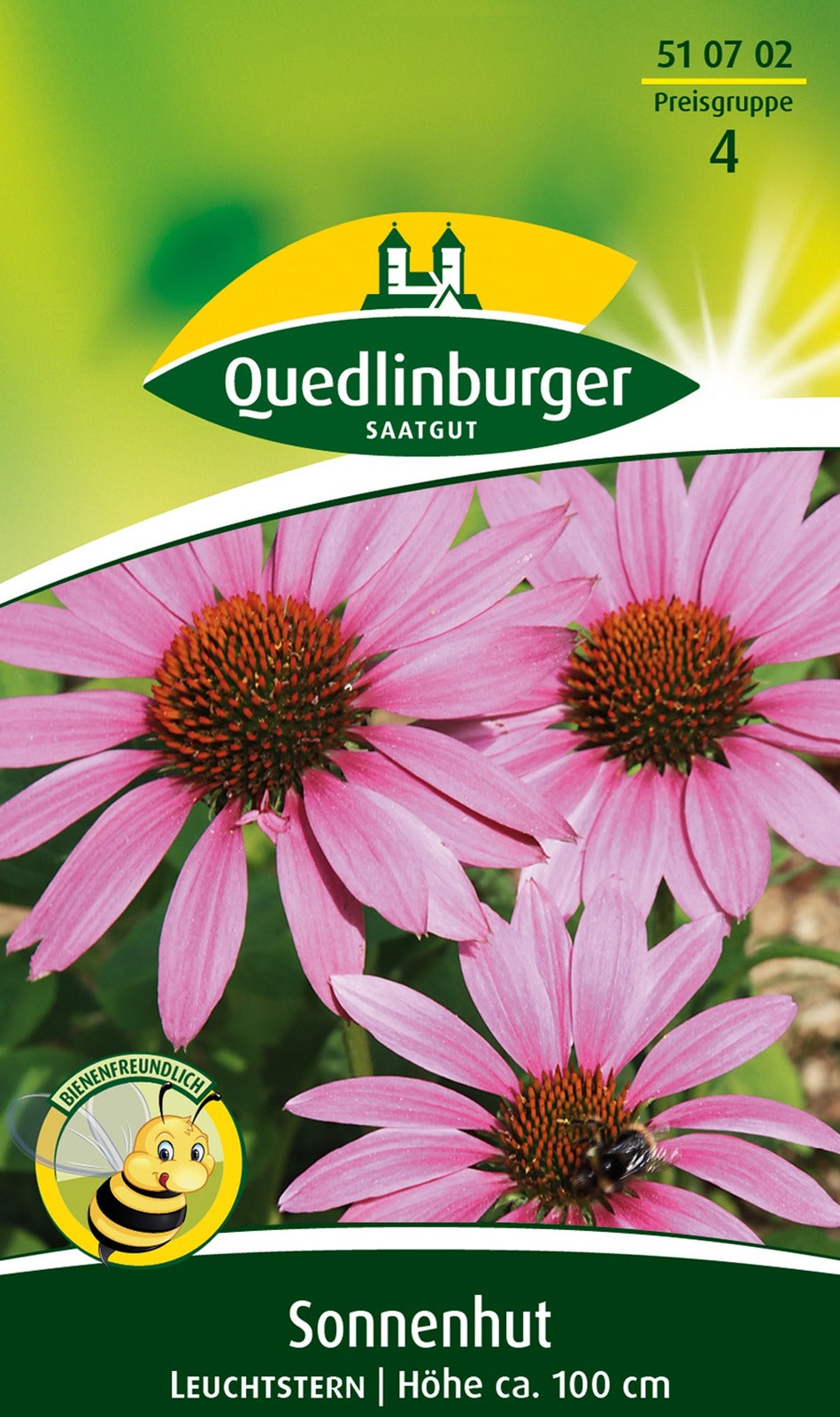 Quedlinburger Sonnenhut - Echinacea Leuchtstern, rosa