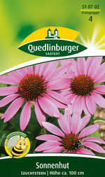 Quedlinburger Sonnenhut - Echinacea Leuchtstern, rosa