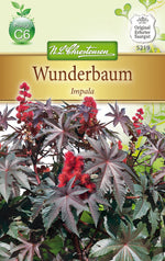 N.L. Chrestensen Wunderbaum Impala