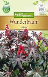 N.L. Chrestensen Wunderbaum Impala