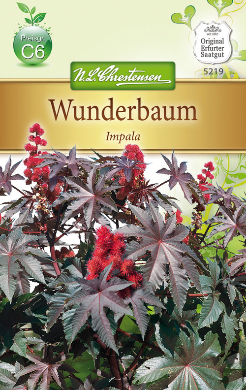 N.L. Chrestensen Wunderbaum Impala