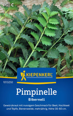 Kiepenkerl Pimpinelle Bibernell