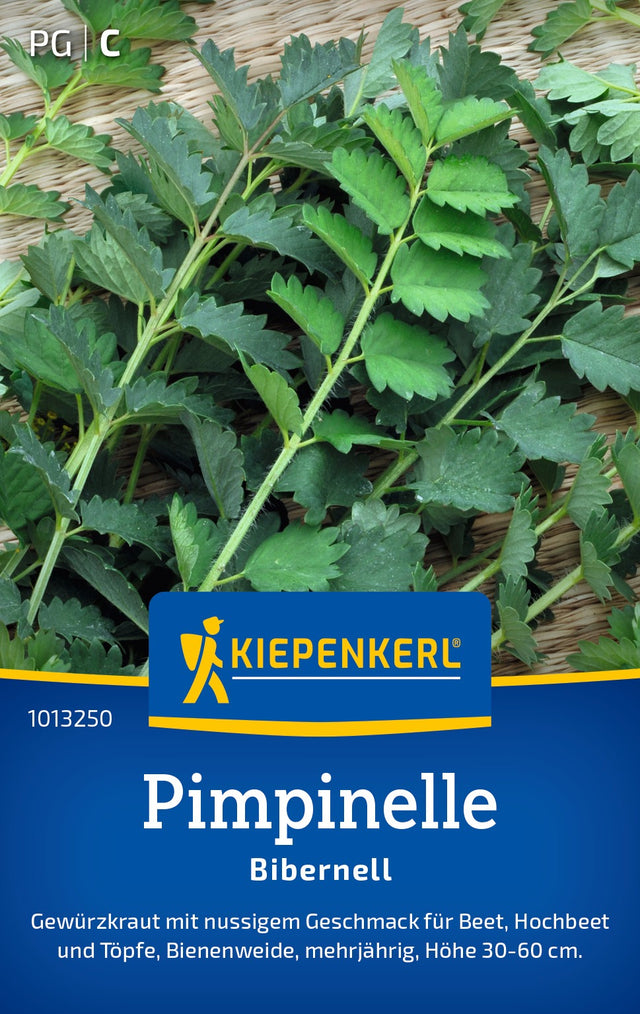 Kiepenkerl Pimpinelle Bibernell