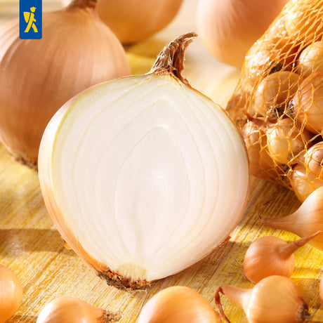 Kiepenkerl Steckzwiebeln Stuttgarter Riesen 500 g