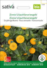 Sativa Zinnie Liliput Kanariengelb