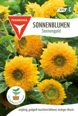 Frankonia Samen Sonnenblumen Sonnengold