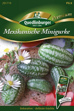 Quedlinburger Minigurke Mexikanische