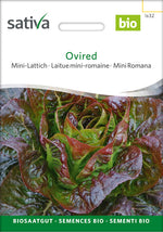 Sativa Mini-Lattich Ovired
