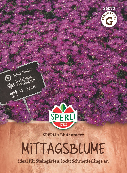 SPERLI Mittagsblume SPERLI's Blütenmeer