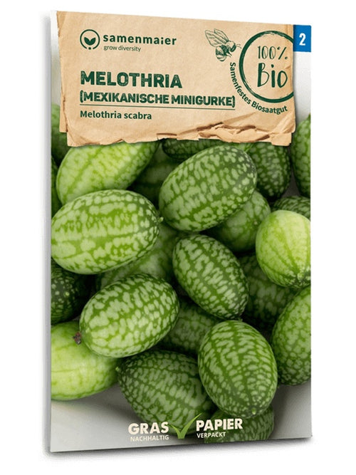 Samen Maier BIO Mexikanische Minigurke Melothria