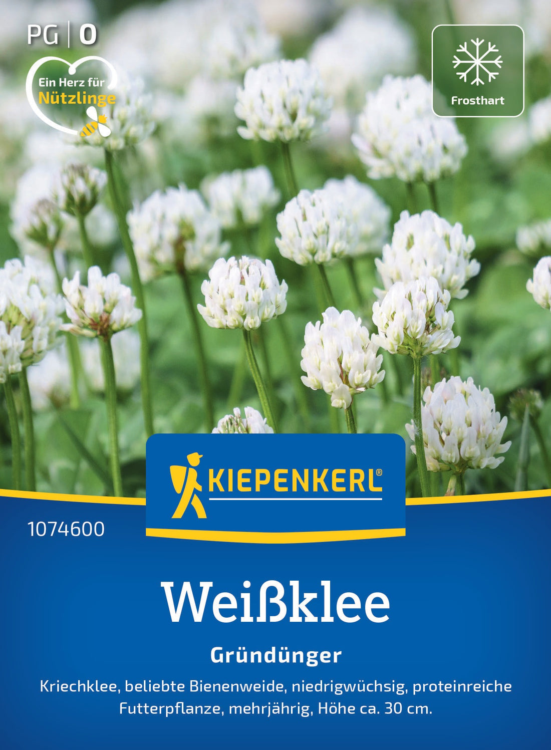 Kiepenkerl Gründünger Weißklee, Kriechklee Loses Saatgut