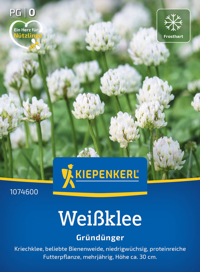 Kiepenkerl Gründünger Weißklee, Kriechklee Loses Saatgut