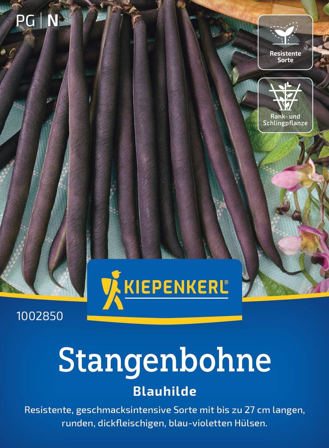 Kiepenkerl Stangenbohnen Blauhilde