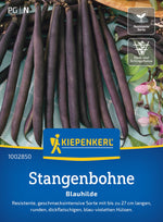 Kiepenkerl Stangenbohnen Blauhilde