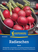 Kiepenkerl Radieschen Sora