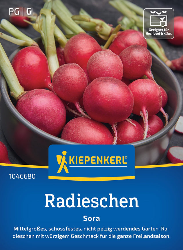 Kiepenkerl Radieschen Sora