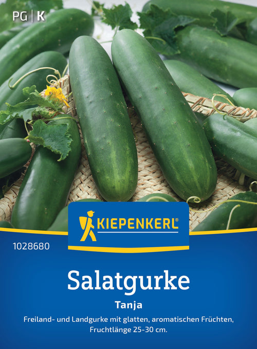 Kiepenkerl Salatgurken Tanja
