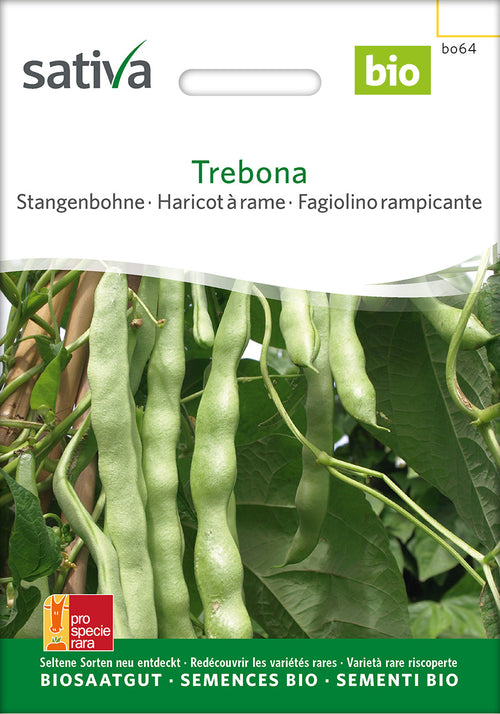 Sativa Stangenbohne Trebona