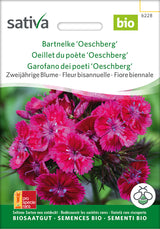 Sativa Bartnelke Oeschberg