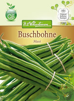N.L. Chrestensen Buschbohne Maxi, Gluckentyp