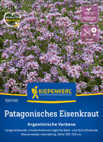 Kiepenkerl Eisenkraut Argentinische Verbene