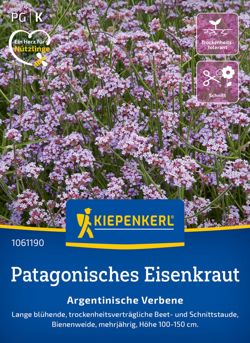 Kiepenkerl Eisenkraut Argentinische Verbene