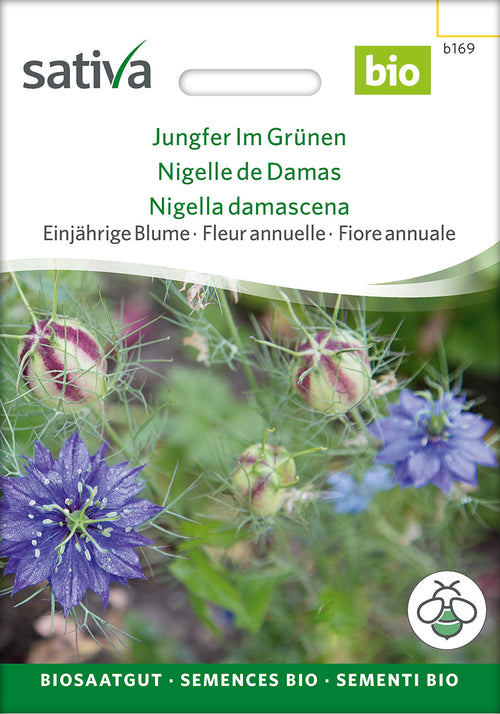 Sativa Jungfer Im Grünen