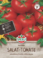 SPERLI Salattomate Harzfeuer