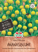 SPERLI Ananasblume SPERLI's Süßer Duft